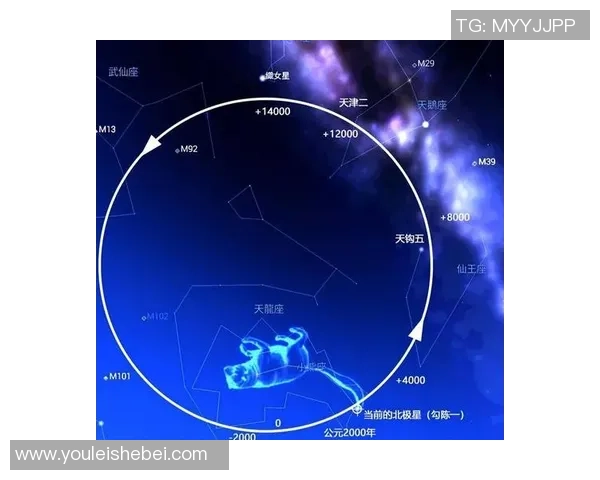 北方星与本土拓为的战略对决与市场前景分析